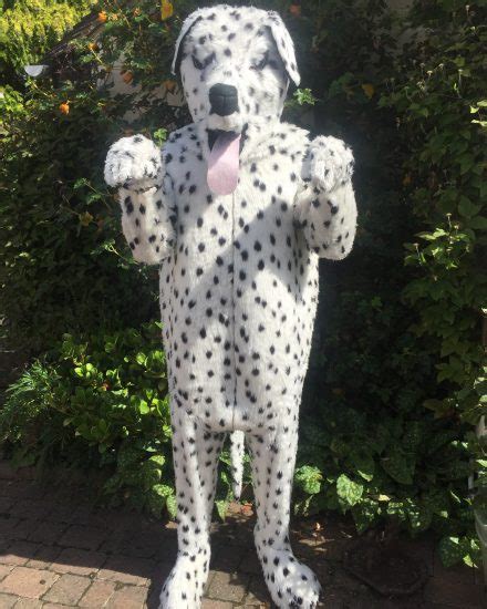 Dalmatian mascot getup